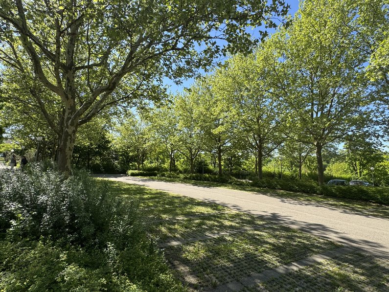 Parkplatz an der Stadthalle